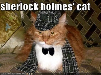 Sherlock Holmes Cat